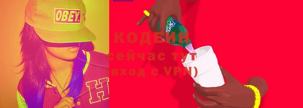 дживик Богородицк