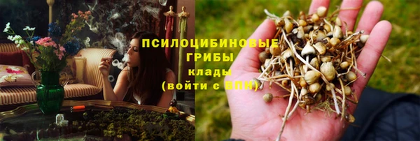 альфа пвп Магас