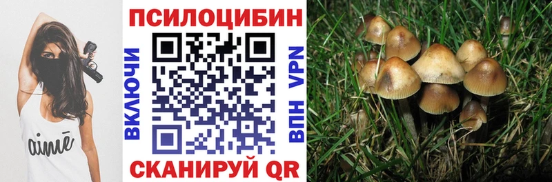 Псилоцибиновые грибы Psilocybine cubensis  нарко площадка наркотические препараты  Бологое 