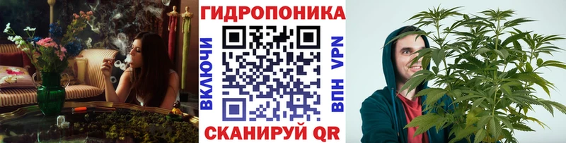 купить наркотик Бологое Марихуана гибрид